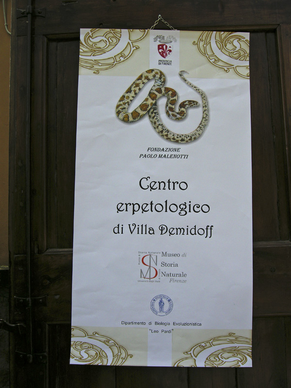 L''apertura del RETTILARIO MALENOTTI
